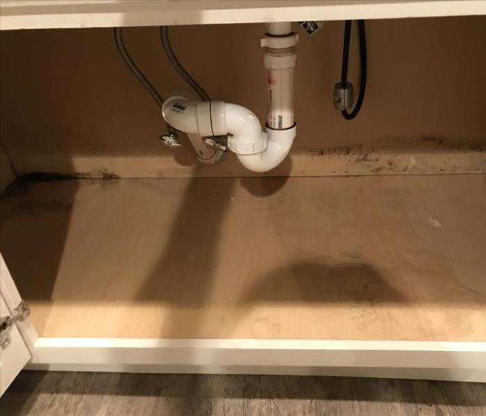 Mold in cabinet